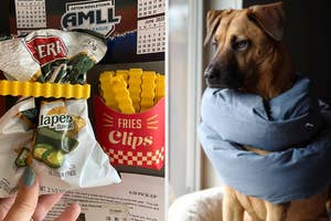 Split image: Left - Hand holding a snack called 'Fries' with flavors visible; Right - Dog with a blue neck pillow