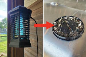 Bug zapper on left and a close-up of a tray filled with insect debris on right, indicating effectiveness