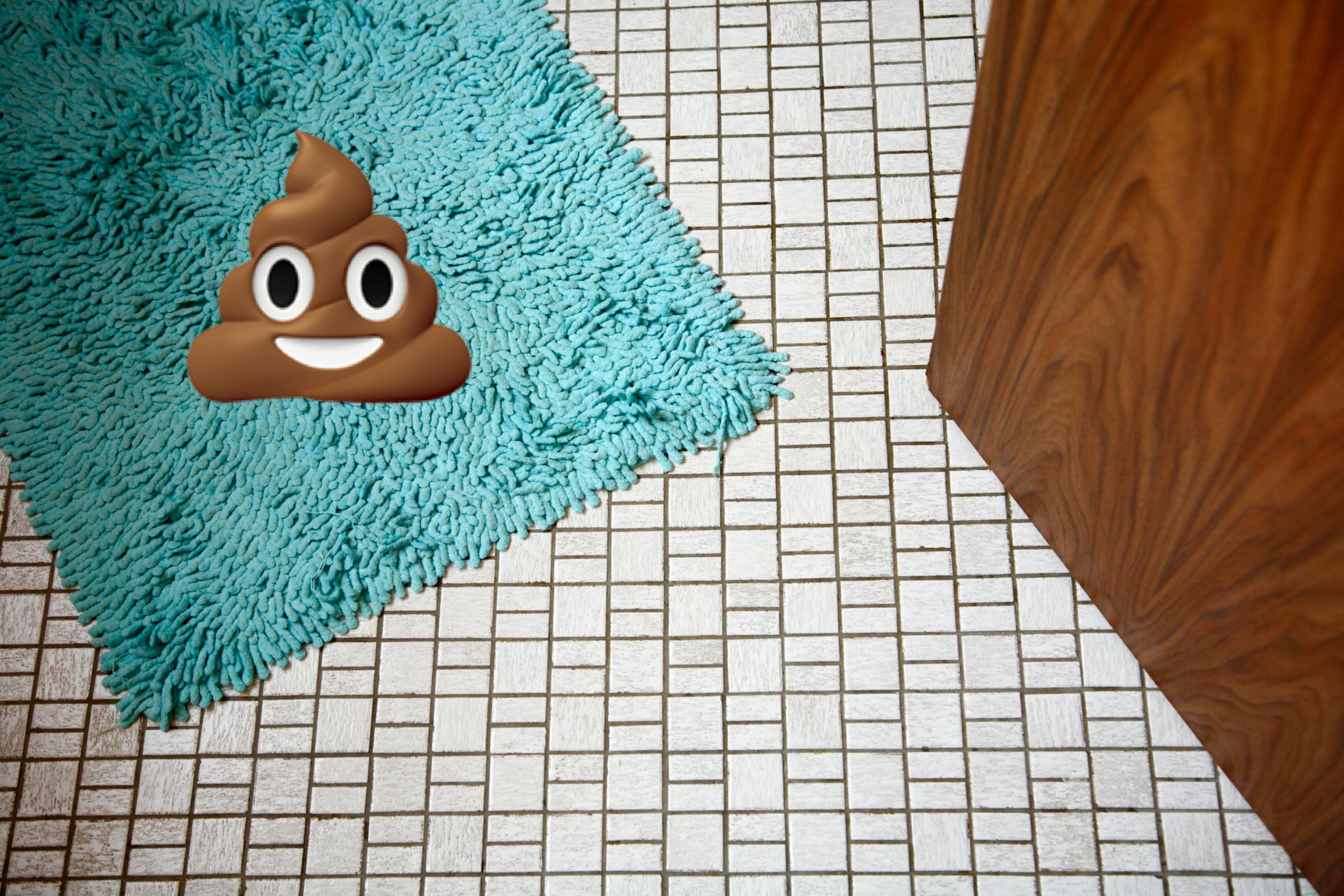 Turquoise shaggy rug on a square-tiled floor next to a wooden door, contrasting textures