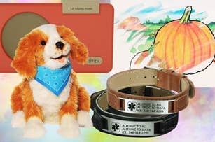 Stuffed dog with a blue bandana, a medical alert bracelet, and a drawing of a pumpkin in the background