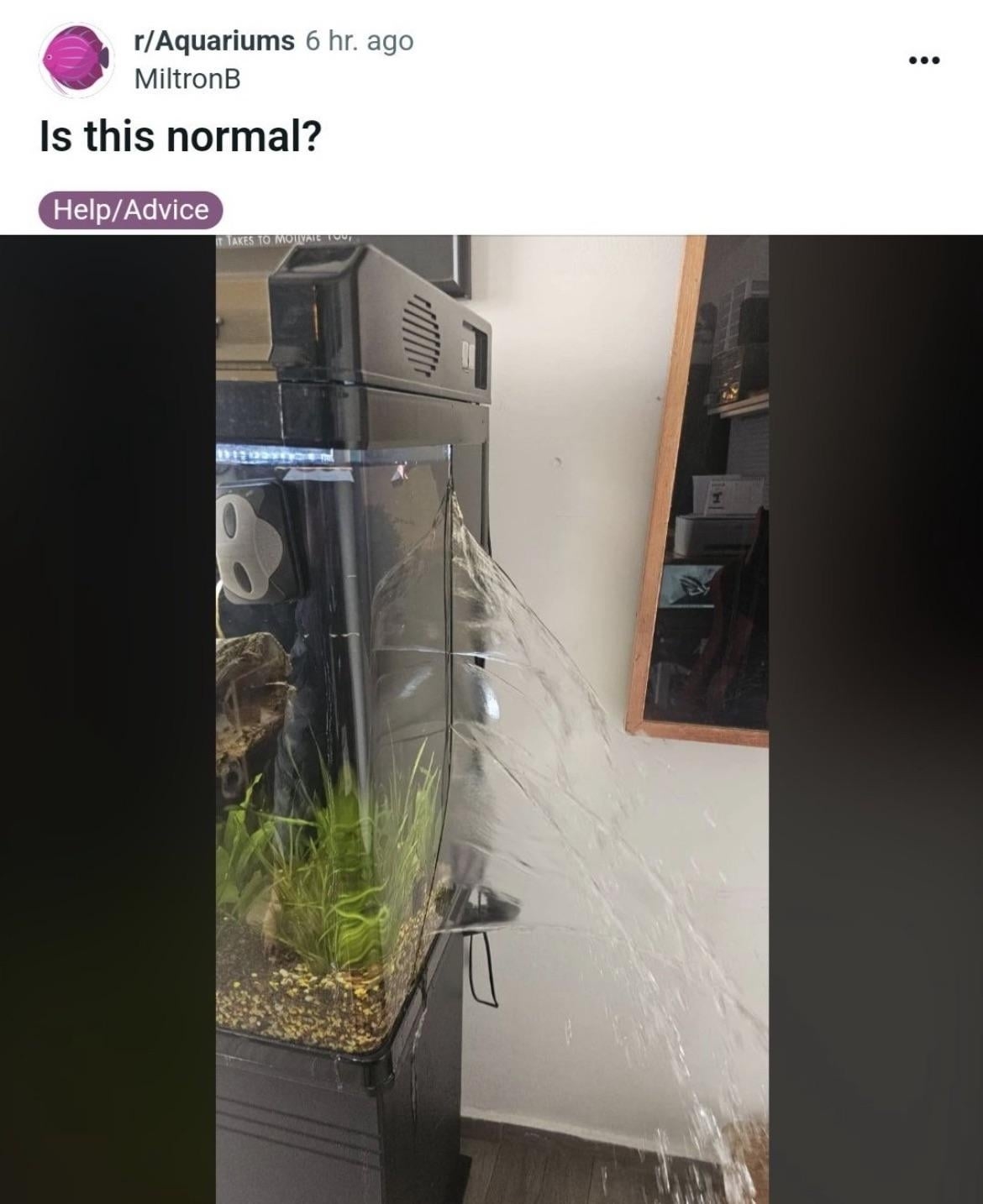 Aquarium with water spraying out from a seam, indicating a possible leak