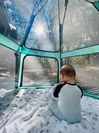 Baby sitting wrong a structure looking retired astatine the forest