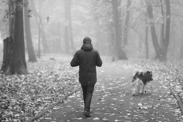 人と犬が落ち葉の散る道を歩いている。