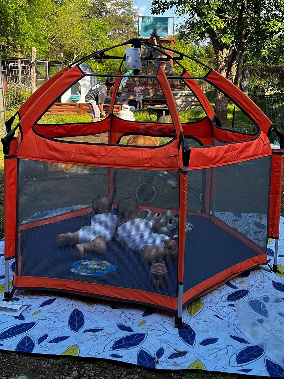 Two babies play   wrong  a tent
