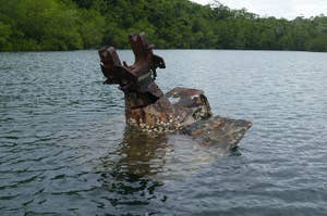 ソロモン諸島のフロリダ島の浅瀬「トウキョウ・ベイ」に残る駆逐艦・菊月の主砲基部（2024年5月5日撮影、良月さん提供）