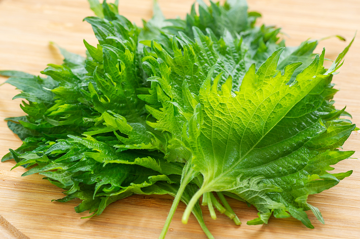 新鮮なシソの葉がまな板の上に並んでいる。