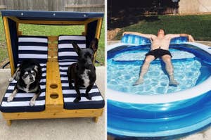 Two images: Left shows two dogs on a striped pet bed, right shows a person relaxing on a floating pool ring