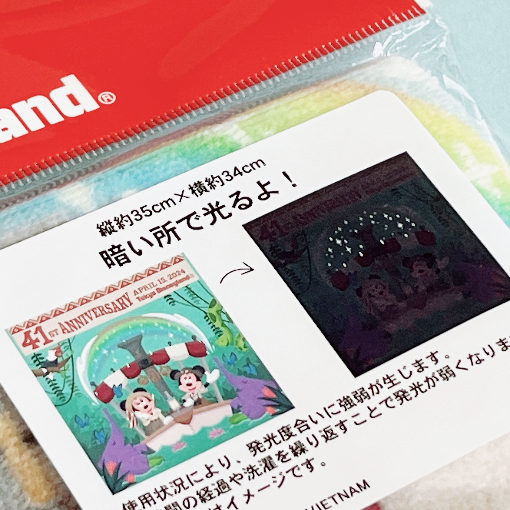 東京ディズニーランドのおすすめお土産「ウォッシュタオル ミッキー ミニー」