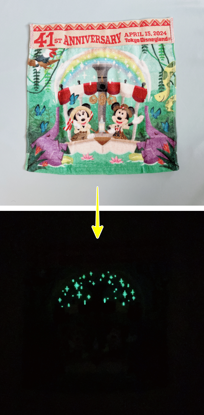 東京ディズニーランドのおすすめお土産「ウォッシュタオル ミッキー ミニー」