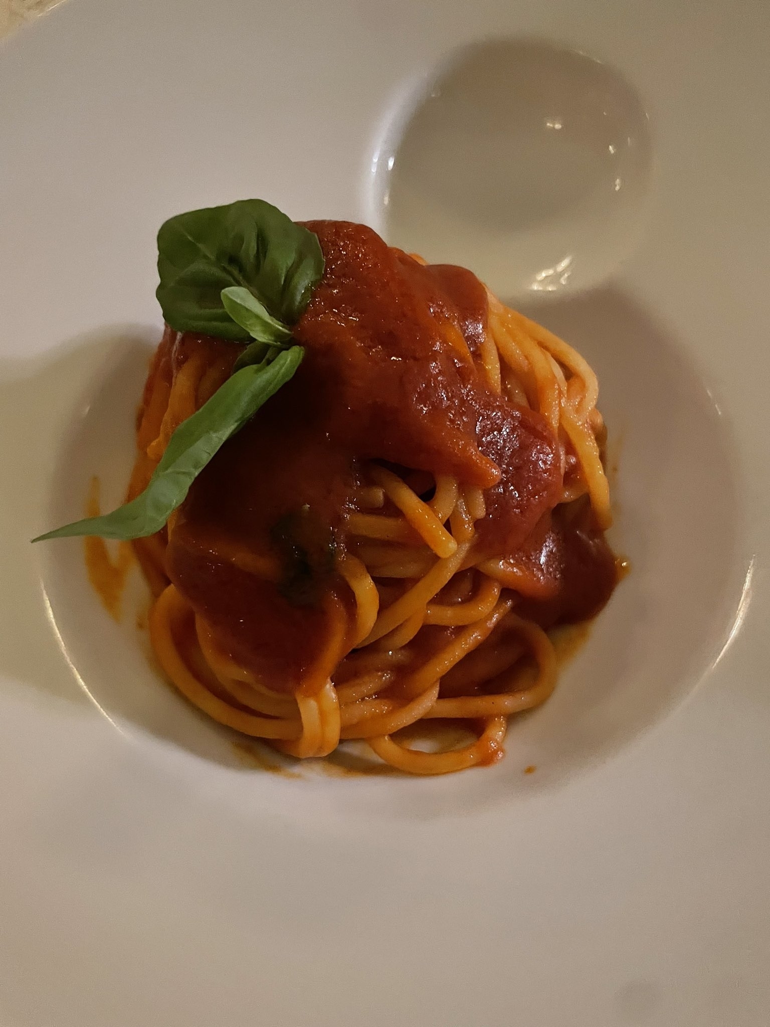 白い皿の上にバジルの葉が乗ったトマトソーススパゲッティ。