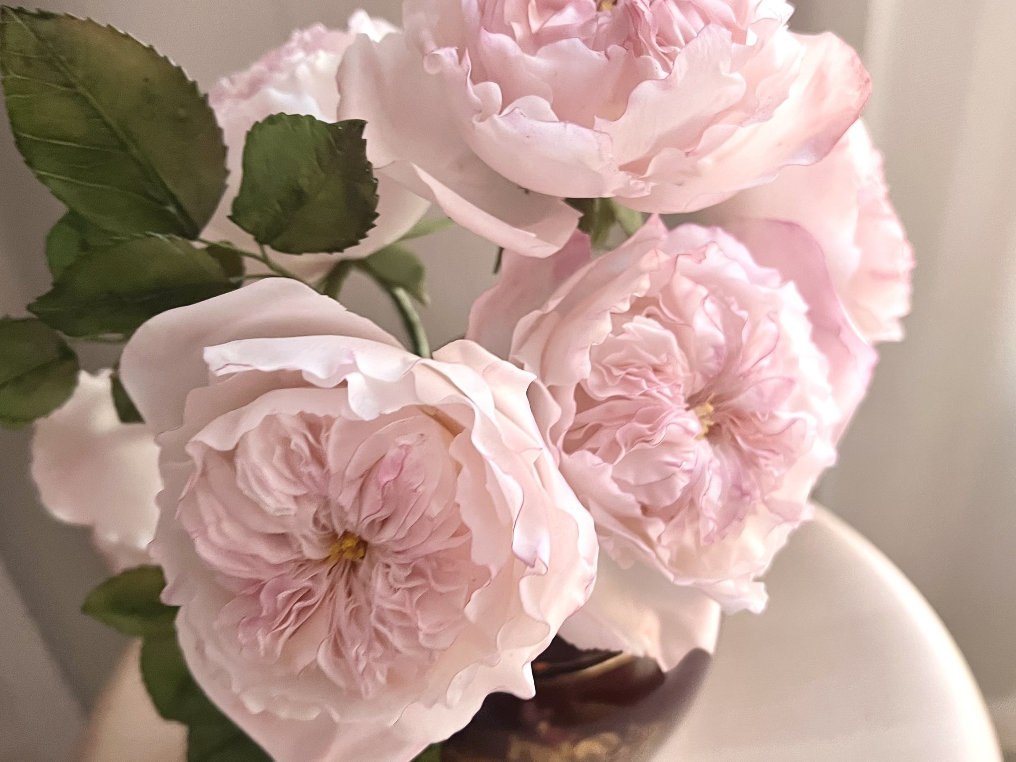 花瓶に入ったピンクのバラが飾られています。