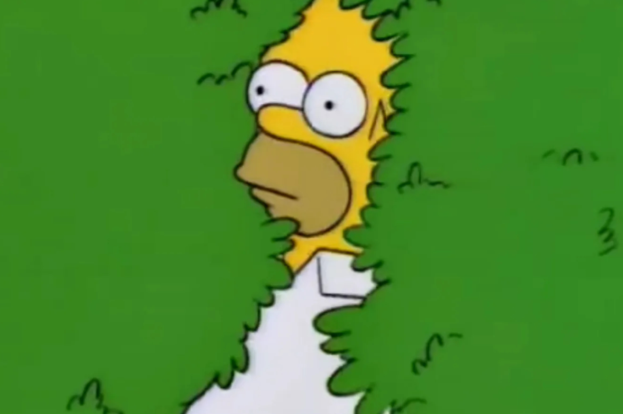 Homer Simpson peeking through a green hedge