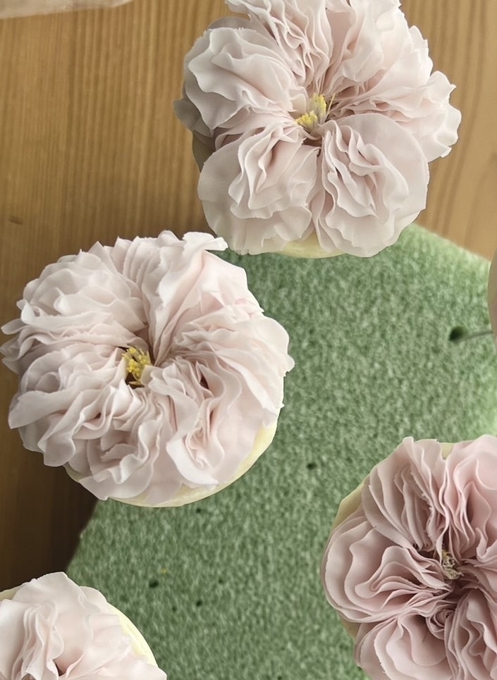 緑の背景の上にあるピンクの花三つ。