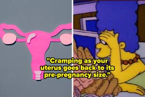 Split image: Left side shows an anatomical diagram of a uterus, right side features Marge Simpson with a hand on her forehead