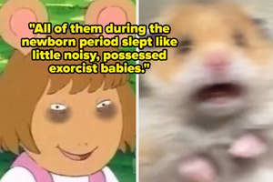 Meme with text over two panels, first shows character Muffy from Arthur, second is a blurry hamster