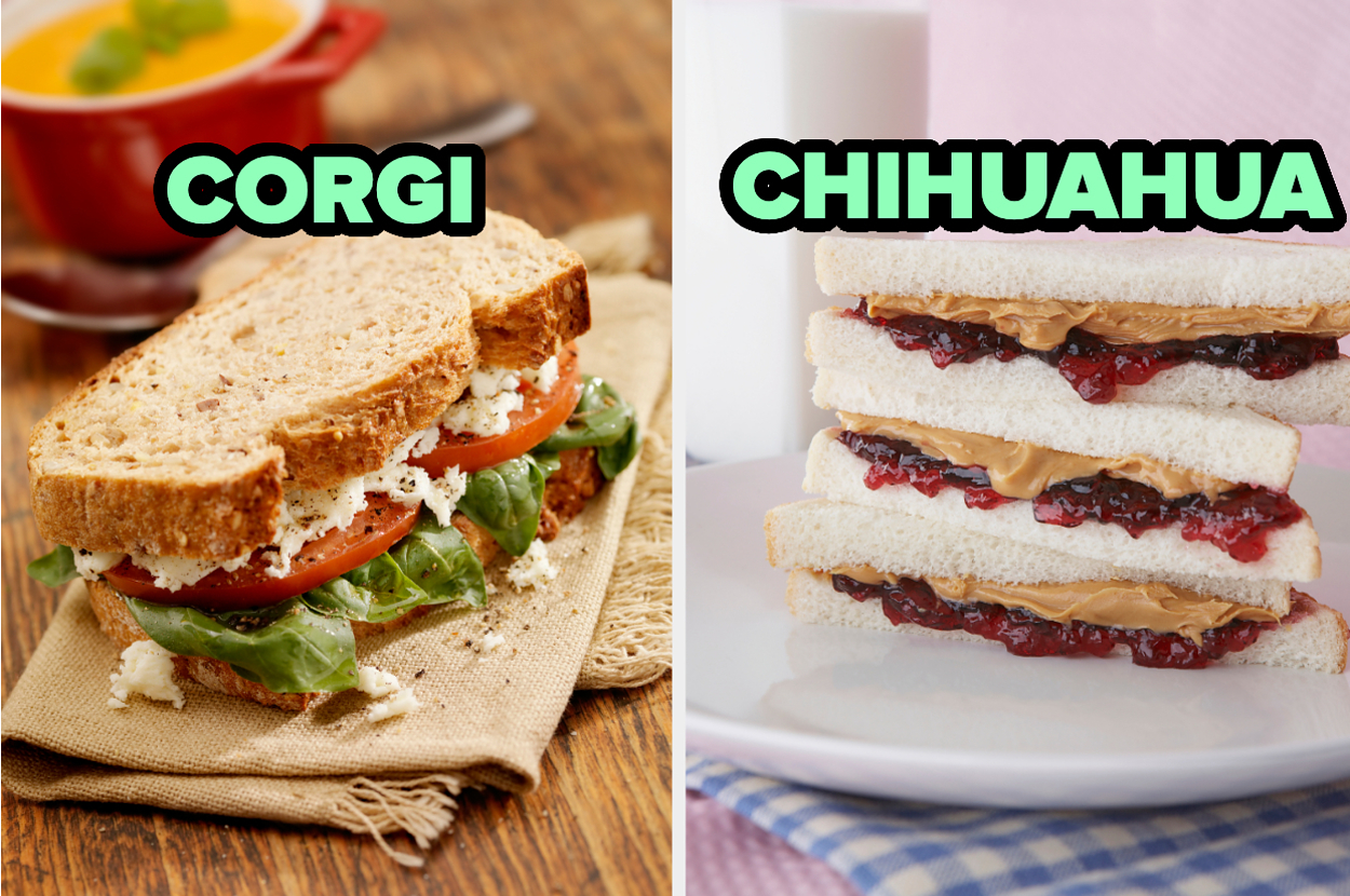 Image split in two sections comparing sandwiches with dog breeds; left shows a sandwich labelled "CORGI," right shows "CHIHUAHUA."