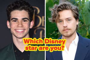 Two male celebrities side by side with text "Which Disney star are you?" in the center