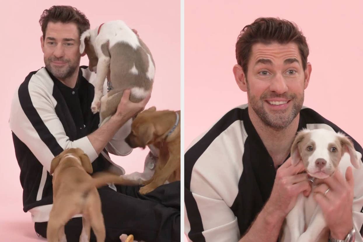 Man in casual attire interacts with puppies against a pink backdrop