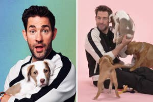 Man in striped jacket holds a puppy on the left; same man poses with another puppy on the right