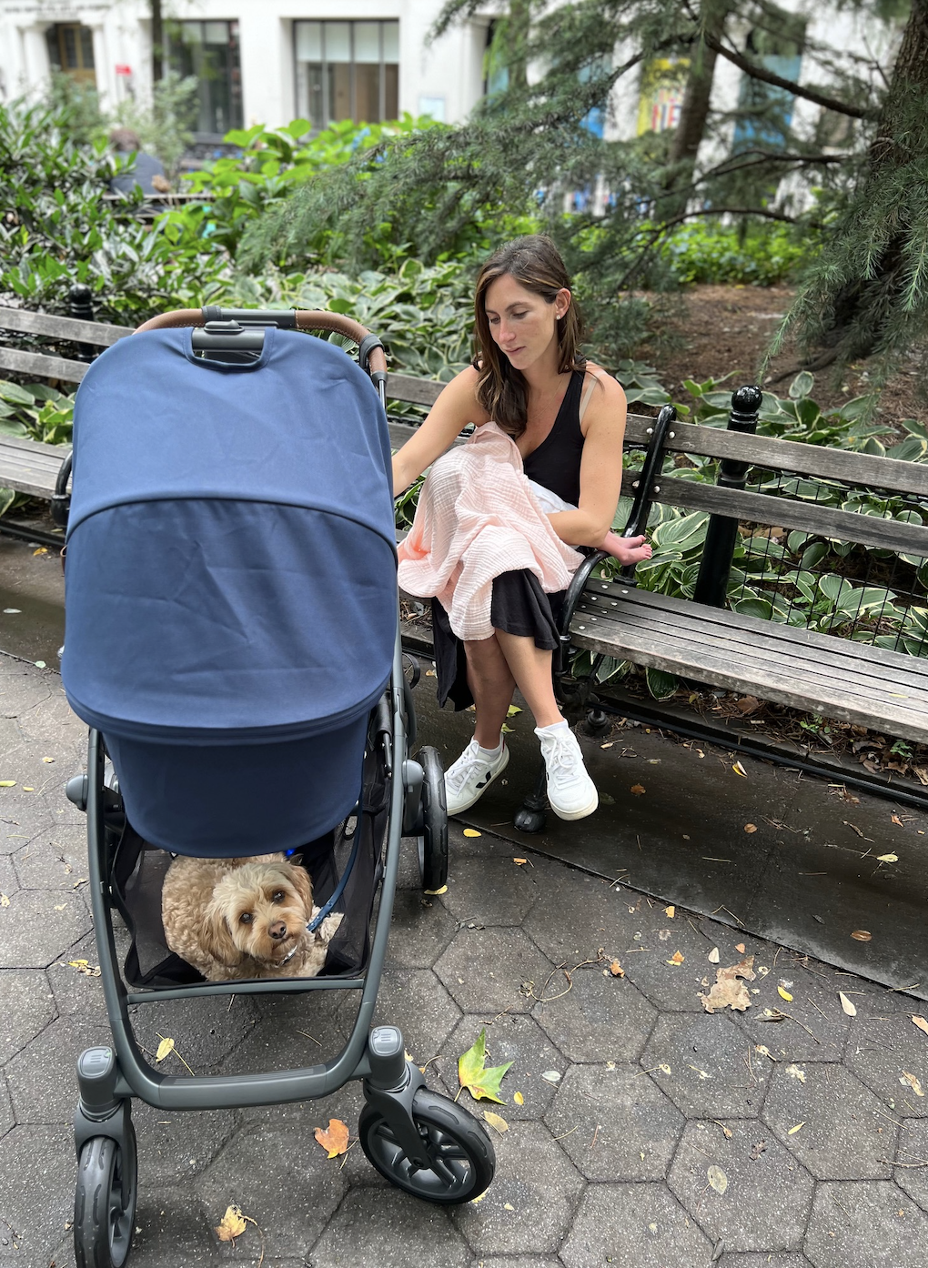 Mother sitting on a park bench, feeding an infant covered with a blanket, next to a stroller with a small dog inside