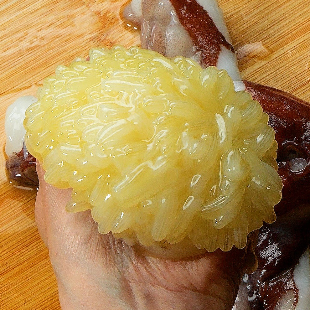 タコ の 卵 レシピ