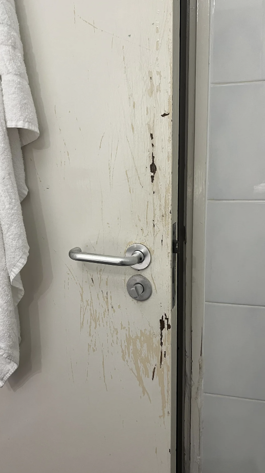 A bathroom door with peeling paint and visible marks, showcasing wear and tear