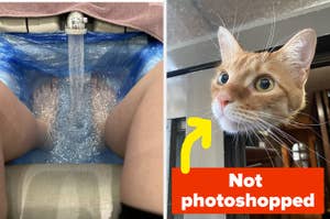 A split image showing a dental sink bib turned into a makeshift water slide and a cat with eyes widened marked as "Not photoshopped."