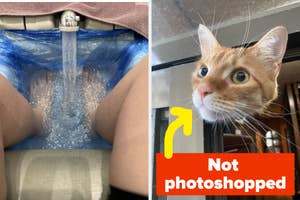 A split image showing a dental sink bib turned into a makeshift water slide and a cat with eyes widened marked as "Not photoshopped."