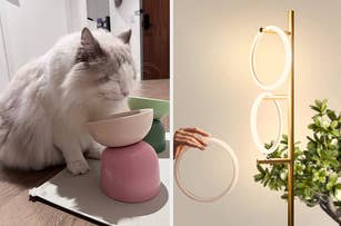 Fluffy cat eating from a bowl on a stand next to a photo of a hand reaching for round mirrors on a vertical stand