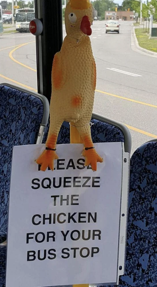 Rubber chicken placed on a bus seat with a sign instructing to squeeze it for the bus stop