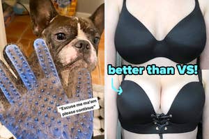 dog hair on mitt and reviewer wearing push up bra