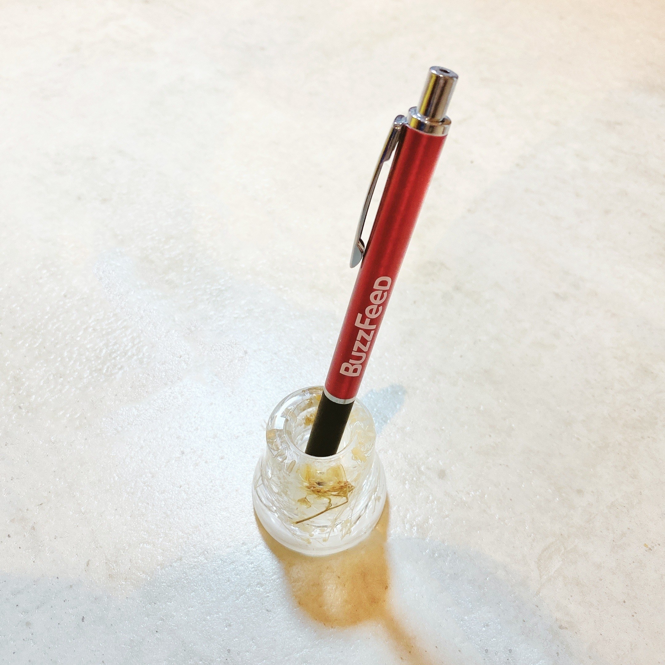 Francfranc（フランフラン）のおすすめアイテム「ハーバリウム トゥースブラシホルダー ホワイト」