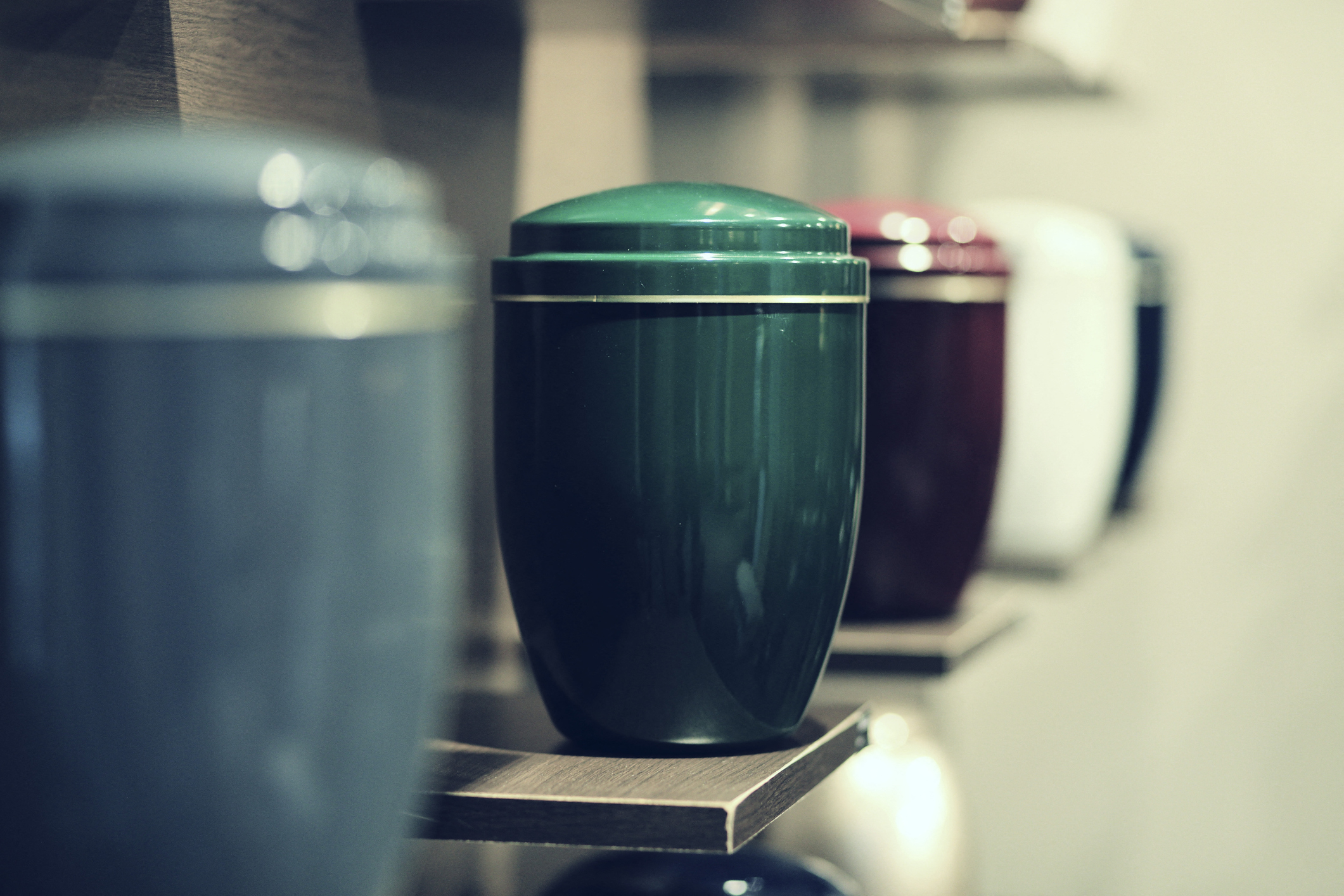 A row of urns on shelves, each with a simple, elegant design, in various shapes and sizes