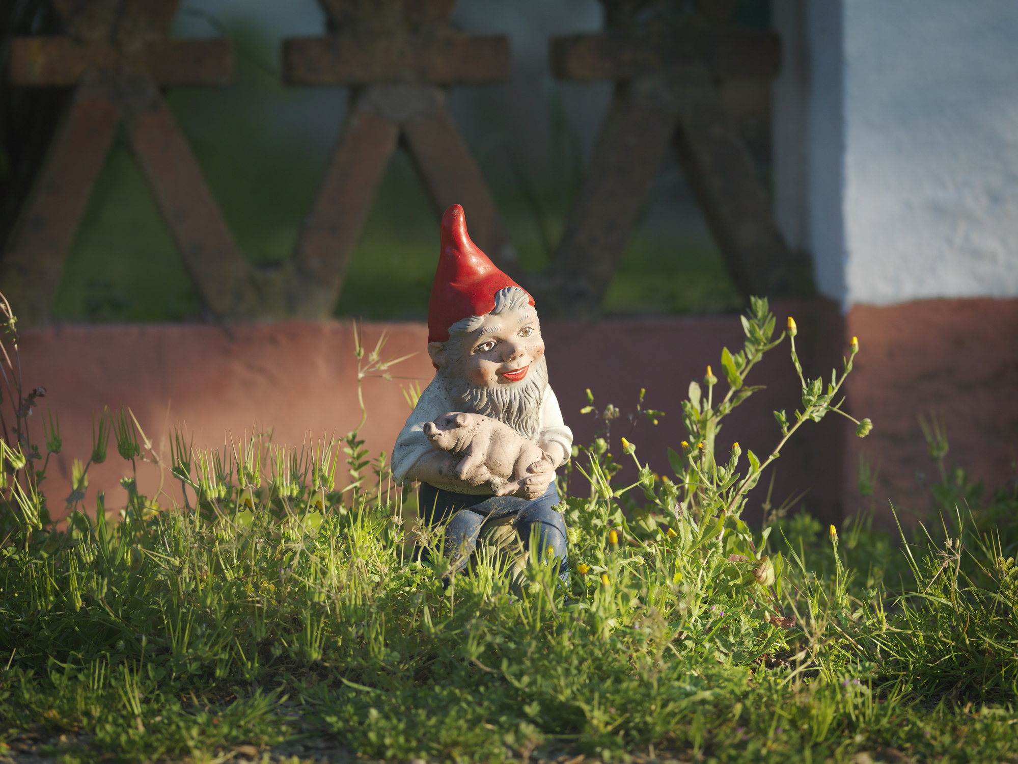 Garden gnome with a red hat and beige shirt holding a piglet, sitting in green grass
