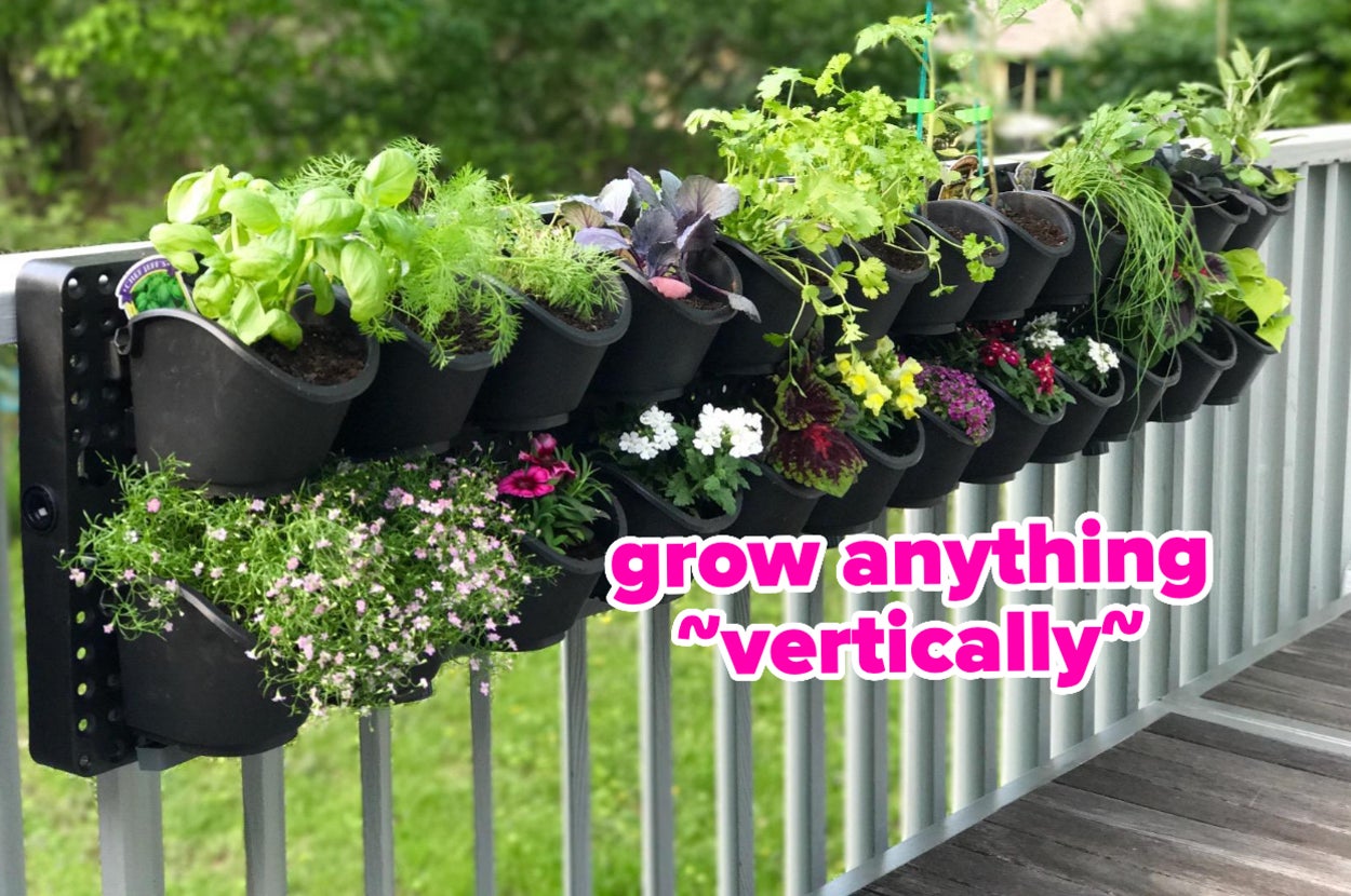 28 Gardening Products That Actually Work And Have The Photographic ...