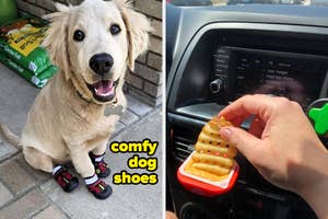 A dog with shoes sits beside a door; a person holds a fry in a car dip clip