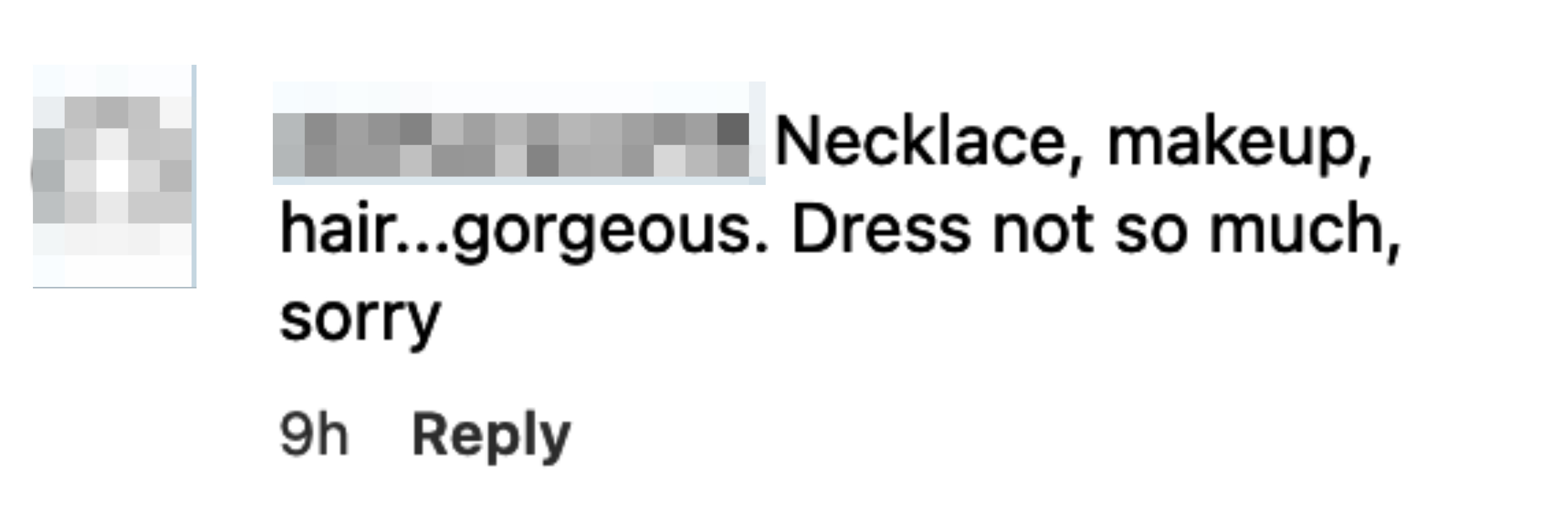 Instagram comment from user dakhanavar55 saying "Necklace, makeup, hair…gorgeous. Dress not so much, sorry" followed by "9h" and "Reply"