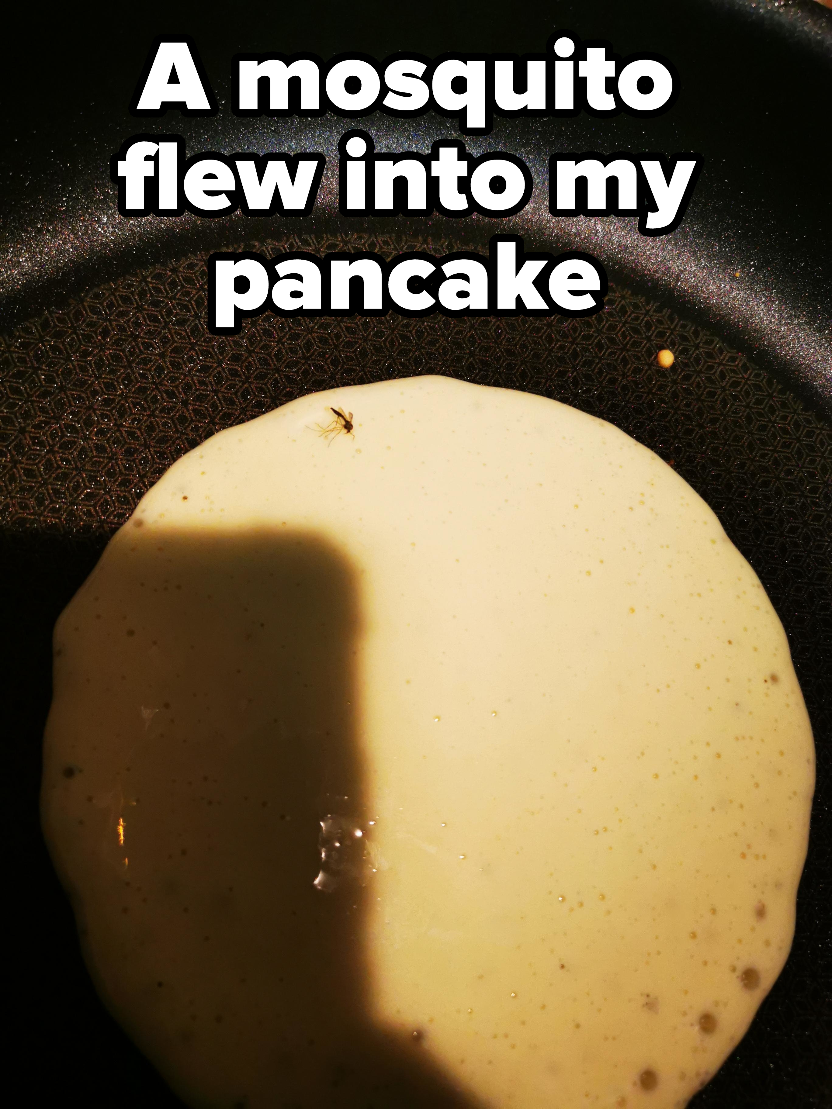A fly is sitting on an uncooked pancake in a pan