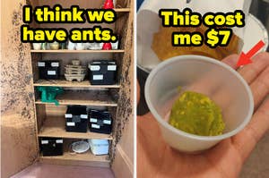 Two images: First, a shelf with various items and what looks like ants crawling on it, with text "I think we have ants". Second, a small cup with a tiny amount of guacamole, with text "This cost me $7"