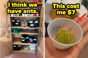 Two images: First, a shelf with various items and what looks like ants crawling on it, with text "I think we have ants". Second, a small cup with a tiny amount of guacamole, with text "This cost me $7"