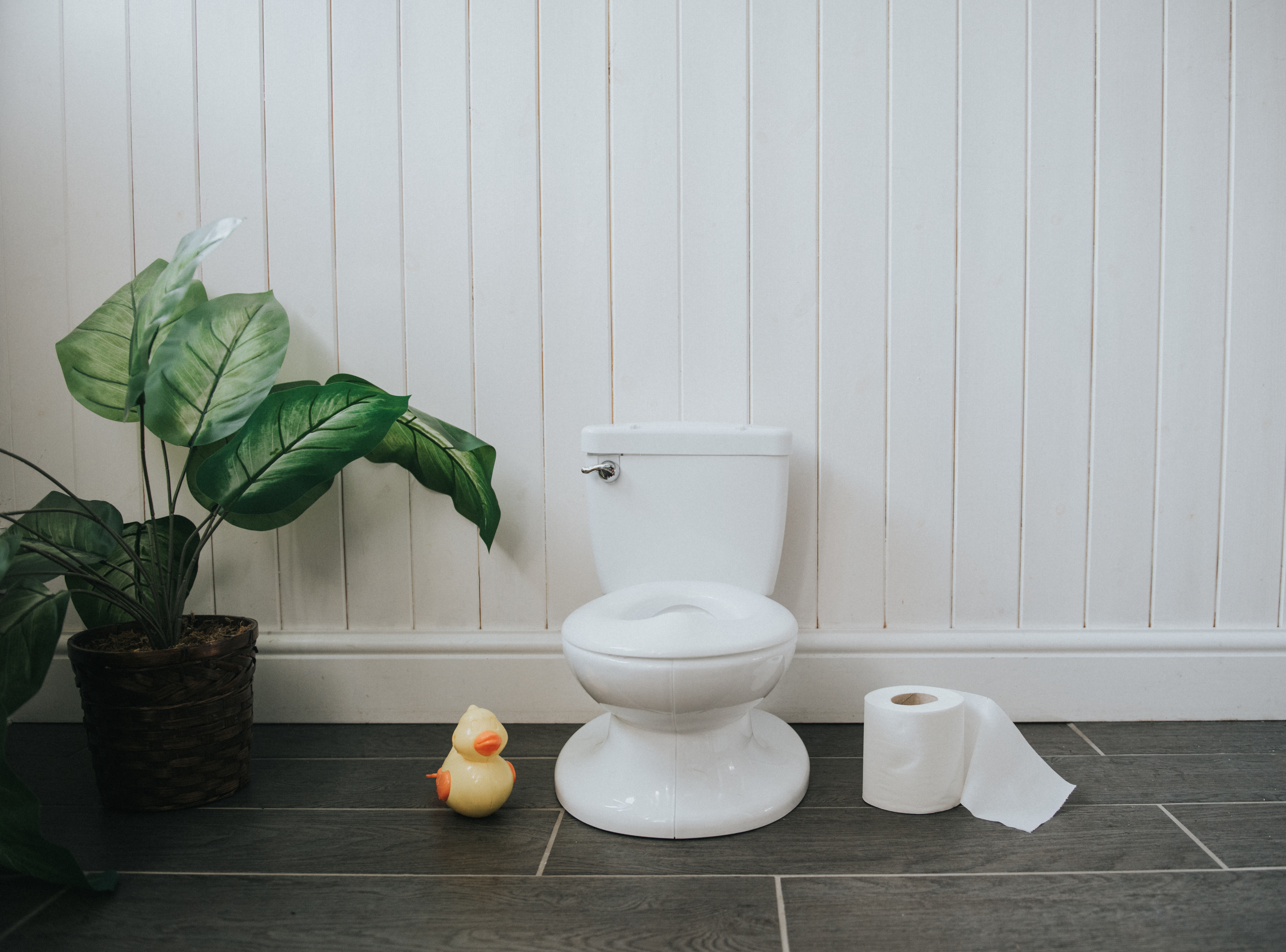 Small white toilet training seat for toddlers next to a potted plant, a rubber duck, and a roll of toilet paper on a bathroom floor