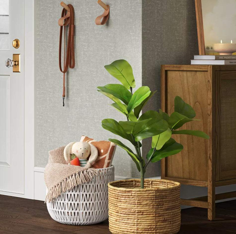 Plant in a basket next to a toy-filled basket on the floor, leash hanging on wall hooks, and a wooden cabinet