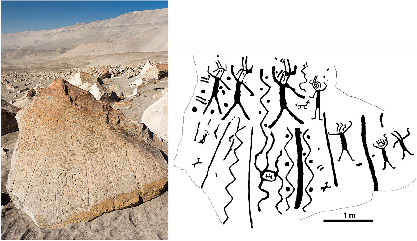 研究チームが注目したトロ・ムエルトの岩絵の一つ「TM1309」（今回の論文より/CC BY 4.0 DEED）
