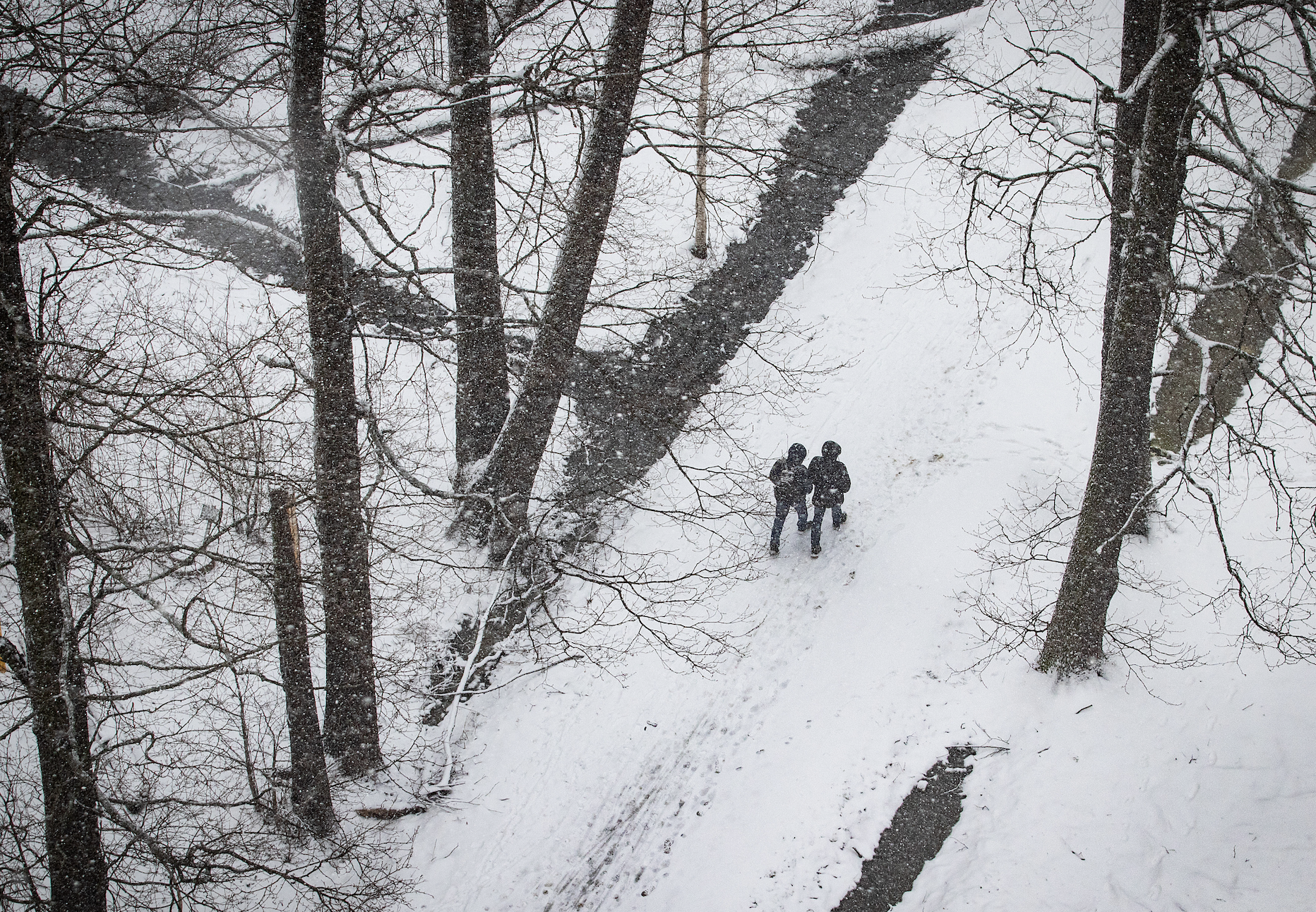 Two people walking on a snow-covered path among trees
