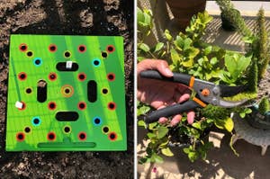 Left: A seeding template in soil. Right: Close-up of a hand trimming plants with shears