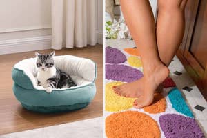 A cat lounges in a pet bed, next to an image of a person's feet on a colorful bath mat, highlighting comfortable home products