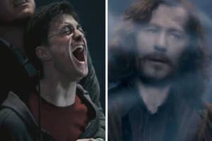 Harry Potter and Sirius Black express anguish in a film scene