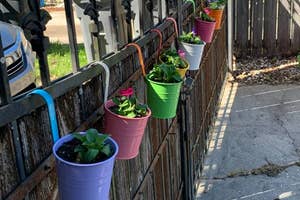 A line of assorted colorful potted plants hanging on a fence