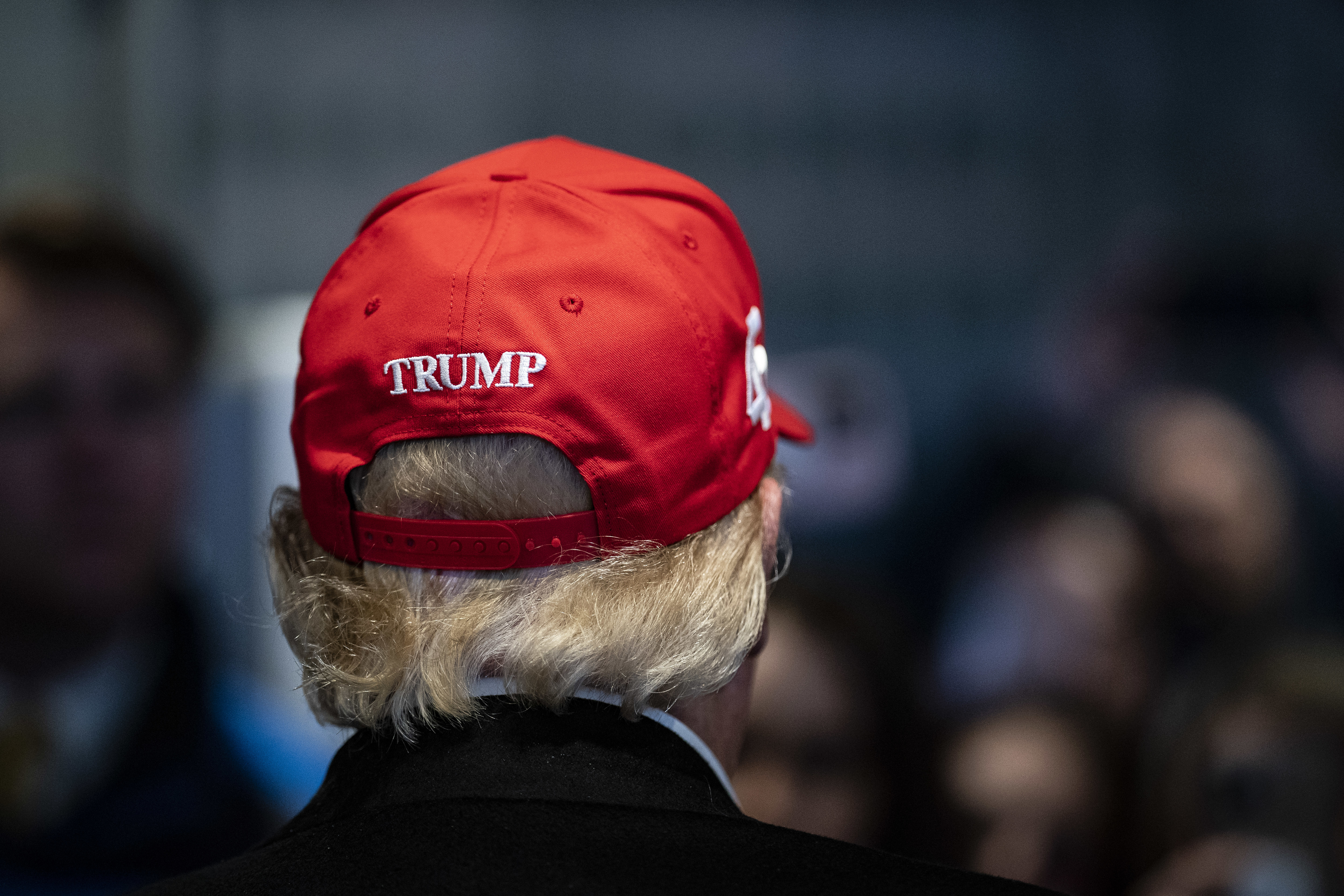 Person wearing a &quot;TRUMP&quot; hat viewed from the back