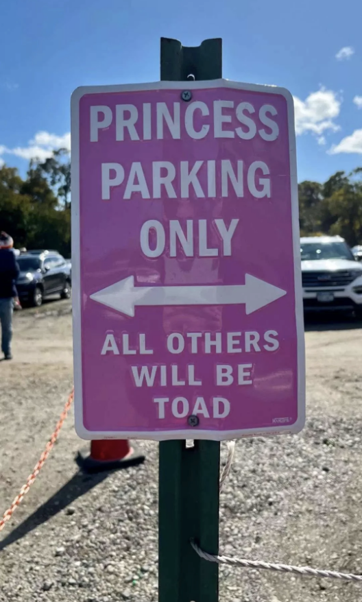 Sign reads &quot;PRINCESS PARKING ONLY, ALL OTHERS WILL BE TOAD,&quot; with arrows pointing left and right, in a parking lot